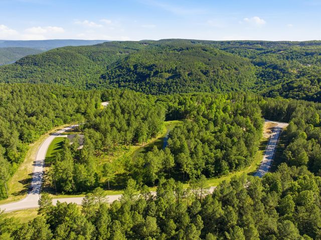 0 Birds Eye Way 1053, Guild, TN 37340