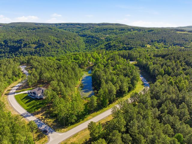 0 Birds Eye Way 1053, Guild, TN 37340