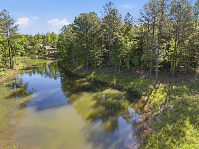 0 Birds Eye Way 1053, Guild, TN 37340