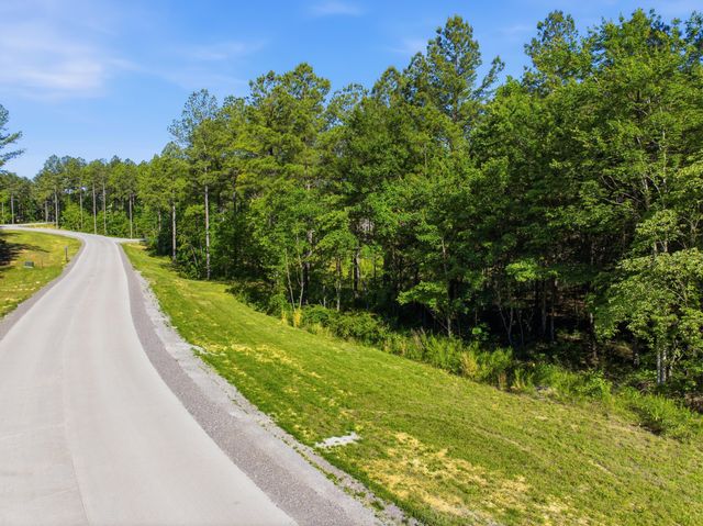 0 Birds Eye Way 1053, Guild, TN 37340