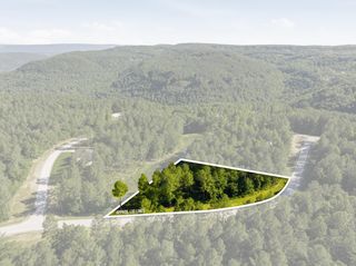 0 Birds Eye Way 1053, Guild, TN 37340