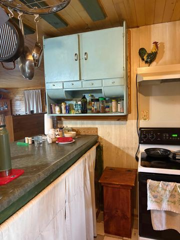 48481 285th Avenue, Logan Twp, MN 56469