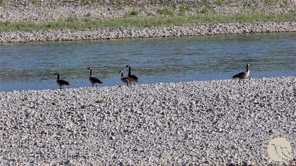 2573 Road 8, Huntley, MT 59088 photo 10