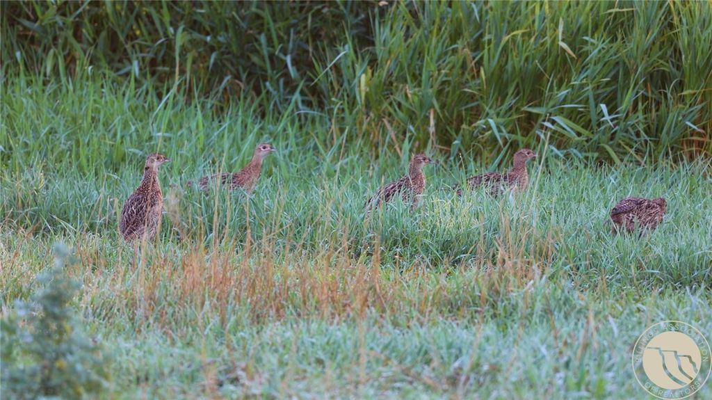 2573 Road 8, Huntley, MT 59088 photo 14