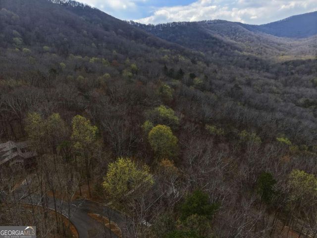 115 Chestnut Oak Point, Big Canoe, GA 30143