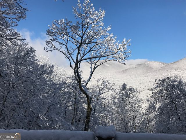 115 Chestnut Oak Point, Big Canoe, GA 30143