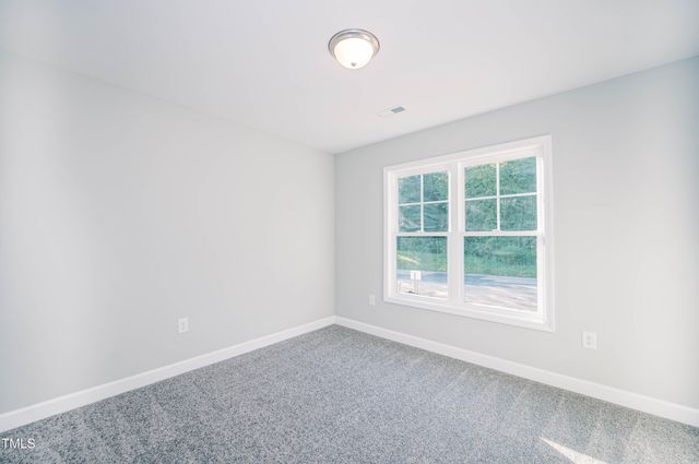 163 Maple Drive, Erwin, NC 28339