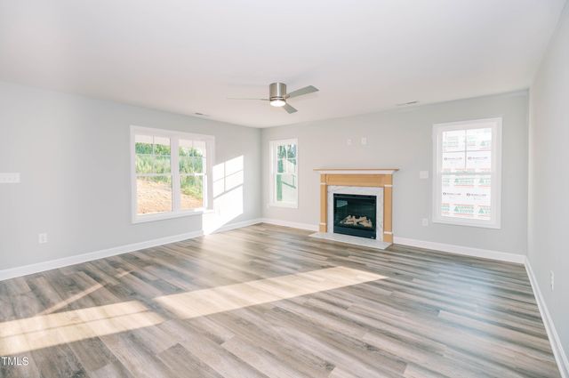 163 Maple Drive, Erwin, NC 28339