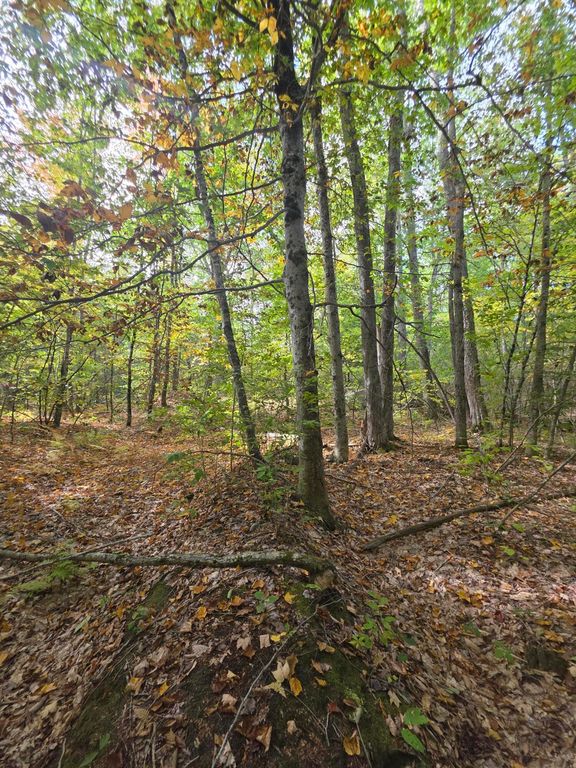 0073082621 Egypt Road, Gray, ME 04039 — photo 3