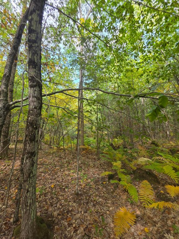 0073082621 Egypt Road, Gray, ME 04039 — photo 4