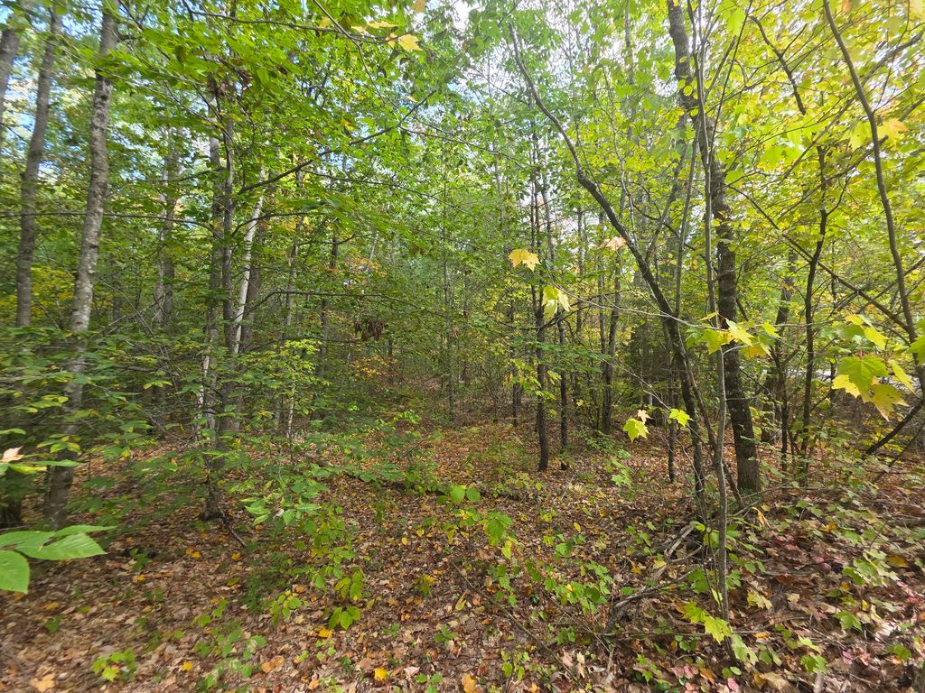 0073082621 Egypt Road, Gray, ME 04039 — photo 5