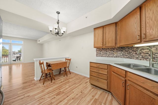 11001 Deblin Lane 203, Oak Lawn, IL 60453