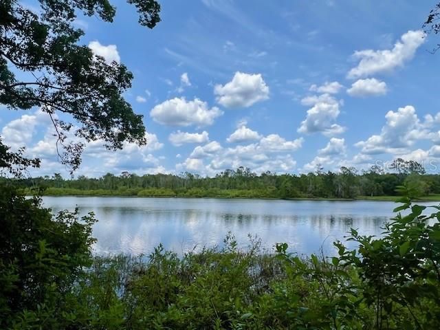 VISTA STREET, Lake Helen, FL 32744