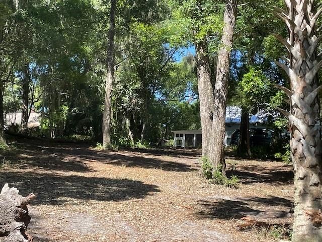 VISTA STREET, Lake Helen, FL 32744