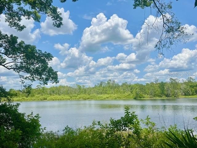 VISTA STREET, Lake Helen, FL 32744