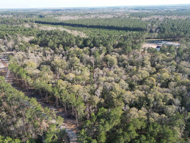 Lot 6 Livingston Farms Lane, Livingston, LA 70754