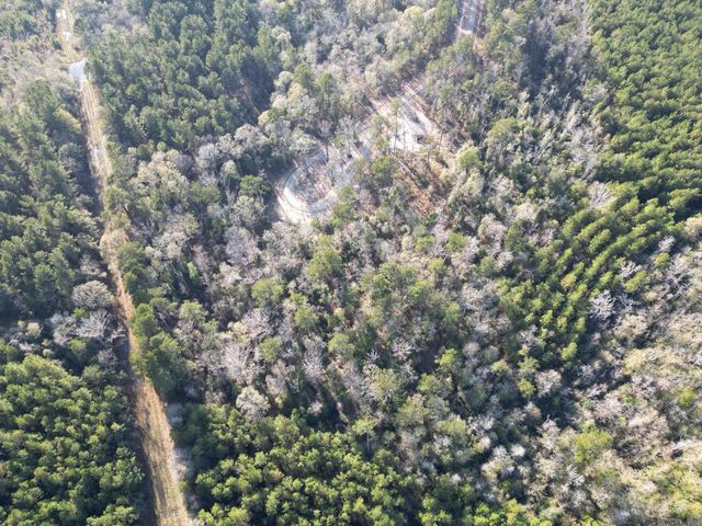 Lot 6 Livingston Farms Lane, Livingston, LA 70754