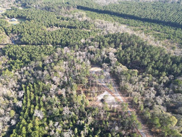 Lot 6 Livingston Farms Lane, Livingston, LA 70754