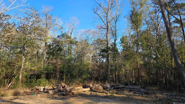 Lot 6 Livingston Farms Lane, Livingston, LA 70754