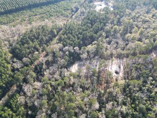 Lot 6 Livingston Farms Lane, Livingston, LA 70754