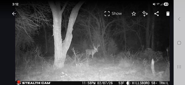 1129 FM 1534, Hillsboro, TX 76645