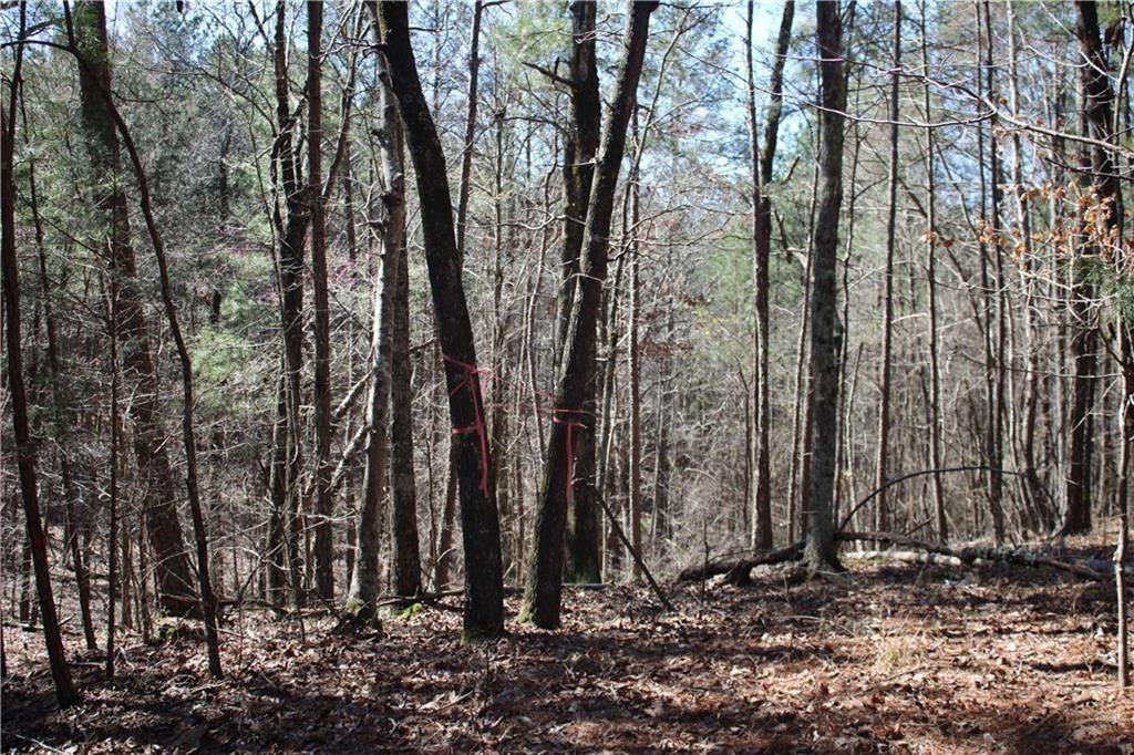 20 Overlook SW Drive, Rome, GA 30161