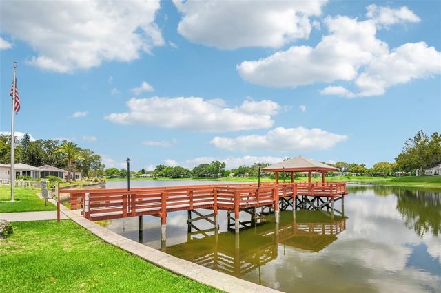 11033 SALT TREE DRIVE, Port Richey, FL 34668