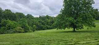 Lot 1 Holt Drive, Loudon, TN 37774