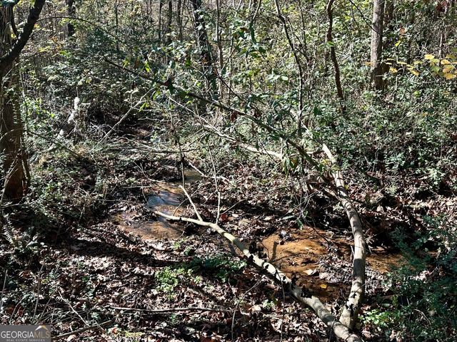 0 Sheep Pasture Road, Commerce, GA 30529