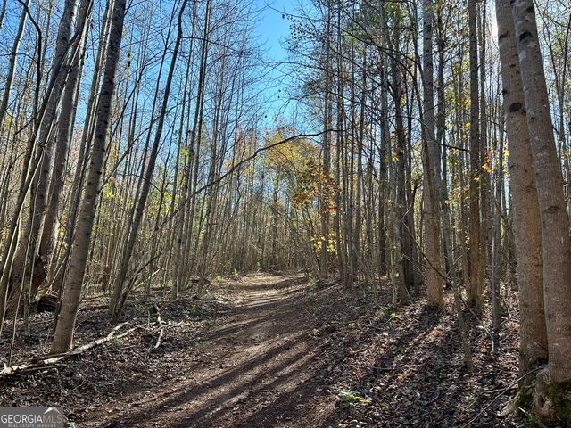 0 Sheep Pasture Road, Commerce, GA 30529