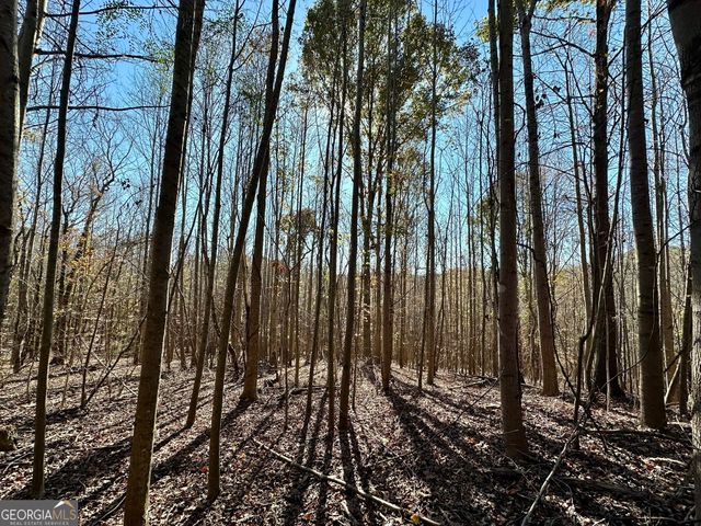 0 Sheep Pasture Road, Commerce, GA 30529