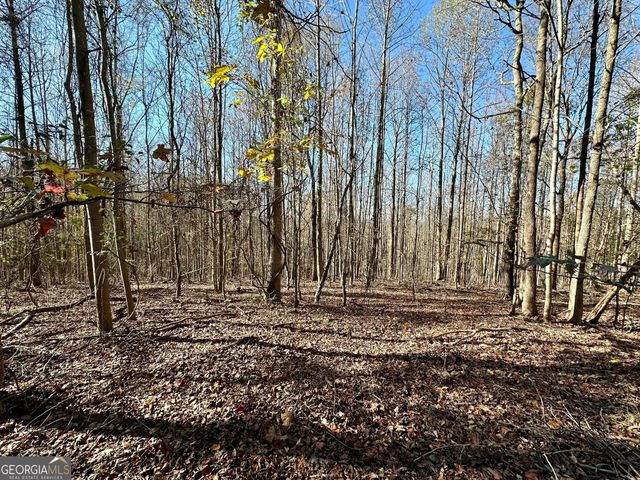 0 Sheep Pasture Road, Commerce, GA 30529