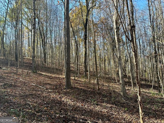 0 Sheep Pasture Road, Commerce, GA 30529