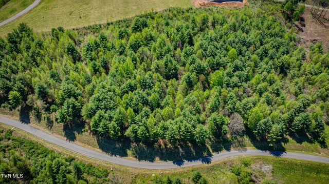 Lot 11 Cowan Town Road, Butler, TN 37640