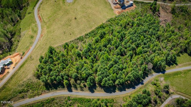 Lot 11 Cowan Town Road, Butler, TN 37640