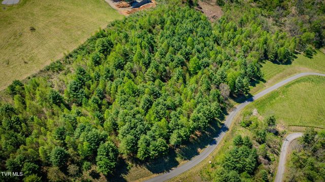 Lot 11 Cowan Town Road, Butler, TN 37640