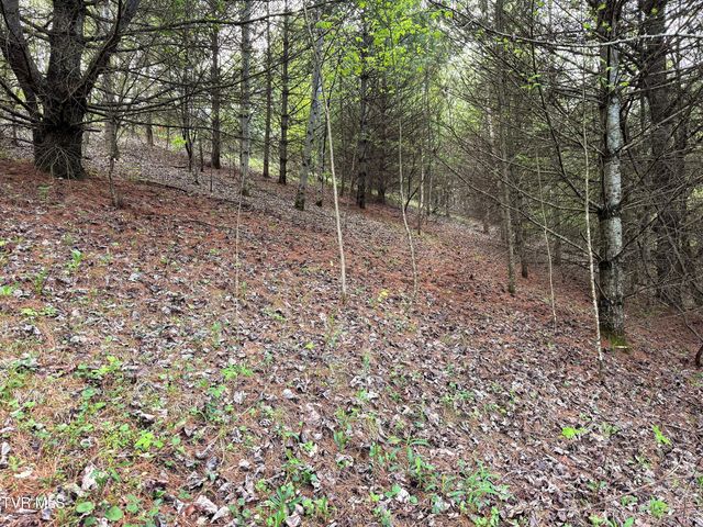 Lot 11 Cowan Town Road, Butler, TN 37640