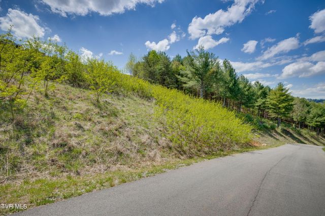 Lot 11 Cowan Town Road, Butler, TN 37640