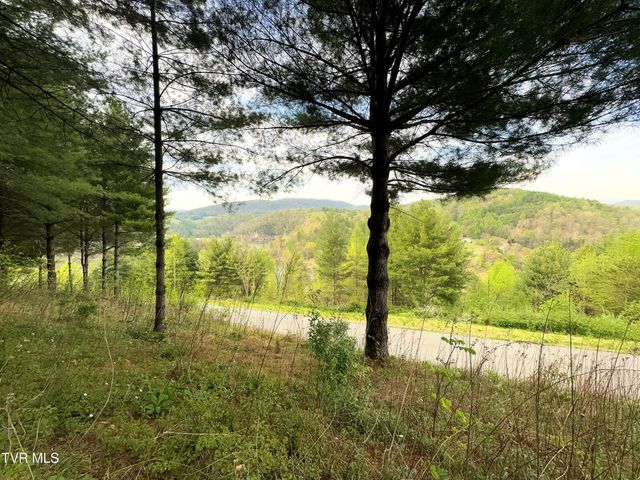 Lot 11 Cowan Town Road, Butler, TN 37640