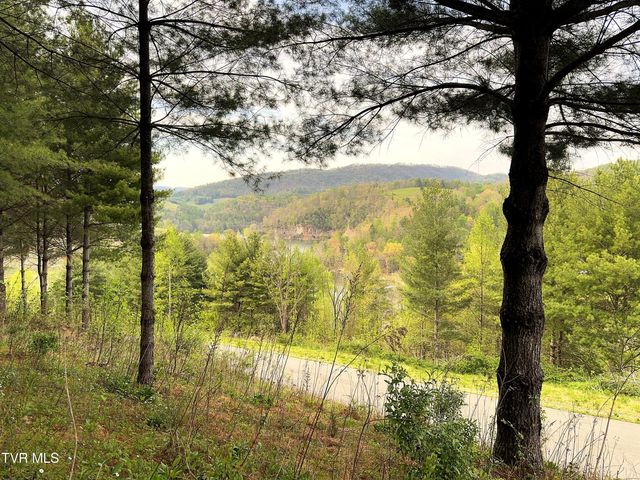 Lot 11 Cowan Town Road, Butler, TN 37640