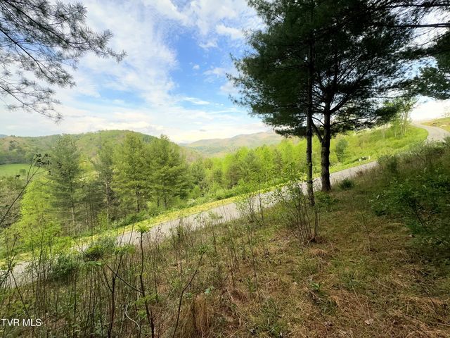 Lot 11 Cowan Town Road, Butler, TN 37640