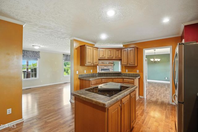 205 Clyde Miller Drive, Telford, TN 37690