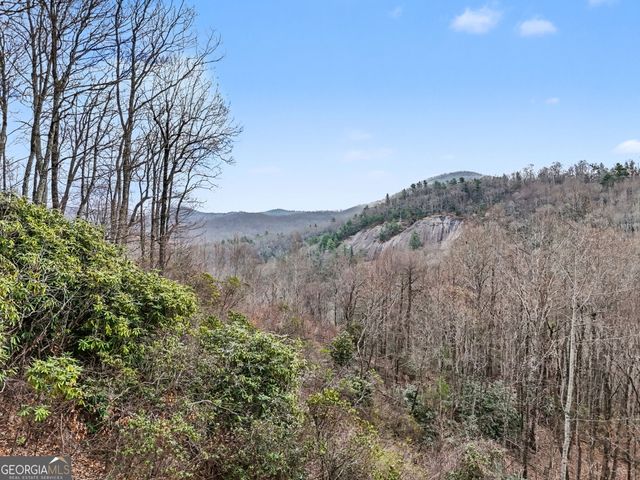 187 Evans Creek Road, Scaly Mtn, NC 28775