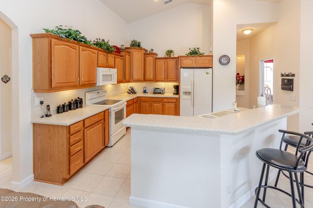 4072 Misty View Drive, Spring Hill, FL 34609