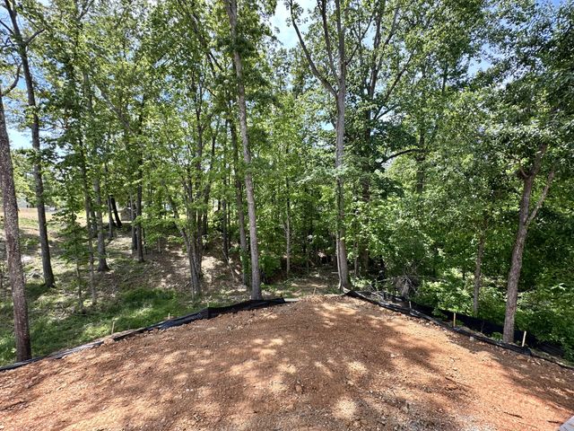 7208 Severide Street, Fairview, TN 37062