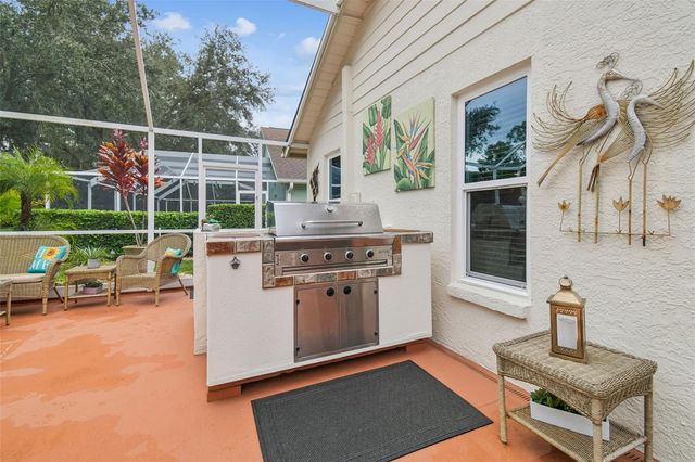 3216 FOX SQUIRREL LANE, Valrico, FL 33596