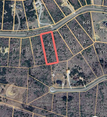 Lot 203 Evening Primrose Drive, Possum Kingdom Lake, TX 76449