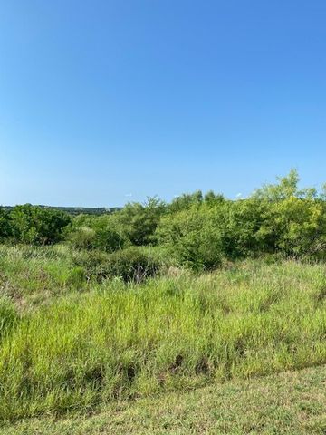 Lot 203 Evening Primrose Drive, Possum Kingdom Lake, TX 76449