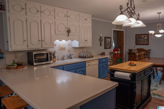 5539 COLEMAN LAKE ROAD, Mccalla, AL 35111