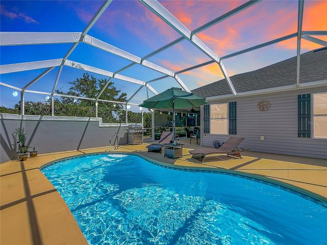 506 DEAUVILLE COURT, The Villages, FL 32163